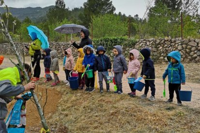 Una sesentena de niños han plantado varias especies durante la celebración.