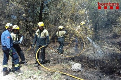 Els Bombers i els Ajudants d'Ofici Forestal (AOF) al lloc del l'incendi.