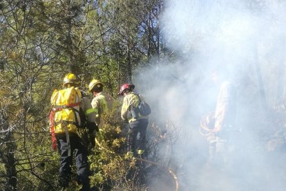 Imatge dels Bombers treballant en l'extinció de l'incendi de Pradell de la Teixeta.