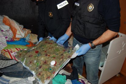 Imagen de los dos kilos de ovillos de marihuana envasados al vacío localizados en el interior de una casa adosada de Roda de Berà