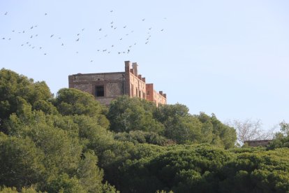 Pla general de l'antic preventori de la Savinosa a Tarragona, envoltada de pins. Imatge del 8 de febrer del 2019