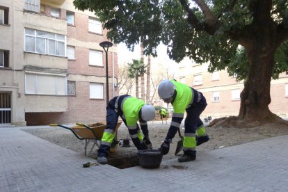 Les actuacions han estat definides a partir de les necessitats detectades en inspeccions.