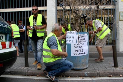 Pla obert de pagesos lleidatans col·locant una olivera davant de la Conselleria d'Agricultura.