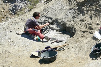 Imatge d'una de les campanyes d'excavació que s'han fet al jaciment del Molí del Baró, a Abella de la Conca.