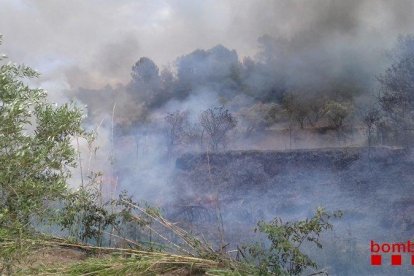 El foc es va declarar cap a les 15 hores, a prop del quilòmetre 808 de la N-420