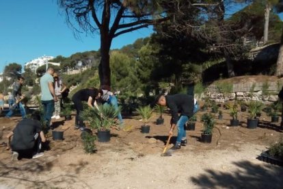 L'Institut d'Horticultura de Reus ha estat l'encarregat