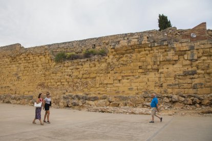 En la plaza del Antic Escorxador, los arbustos crecen sin control y ponen en peligro la estructura de la Muralla romana