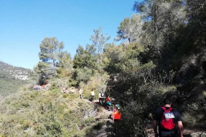 El recorregut tant de la cursa com de la caminada és de 14 quilòmetres.