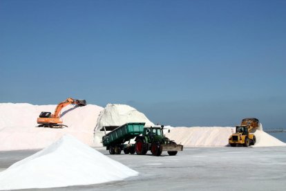 Máquinas y tractores trabajando en la recogida de la sal en las salinas de la Trinitat.