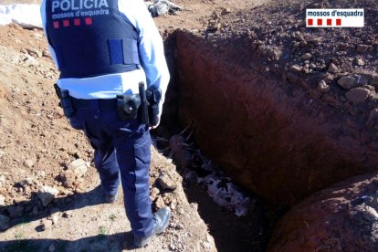 Un agente comprobando la aparición de cadáver de ovejas en fosas próximas a la explotación agraria del propietario que ha sido denunciado.