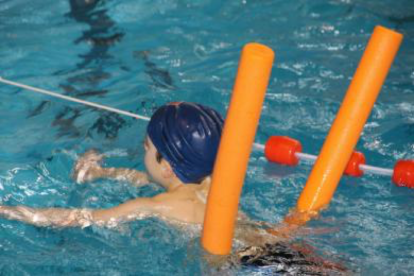 Los cursos de natación se distribuyen por grupos de edad y nivel: bebés, iniciación de primer nivel, iniciación de segundo nivel, perfección, cursos de adultos y aquagym.