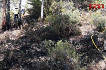 Ha quemado 150 metros cuadrados de un pinar.