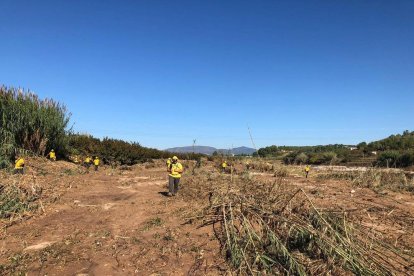 Voluntaris trabajan en la búsqueda de los desaparecidos