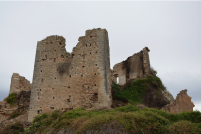 El castell vist des del vessant sud-est. Presenta un important estat de degradació.