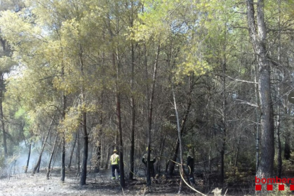 Imatge d'efectius de Bombers treballant a la zona afectada.