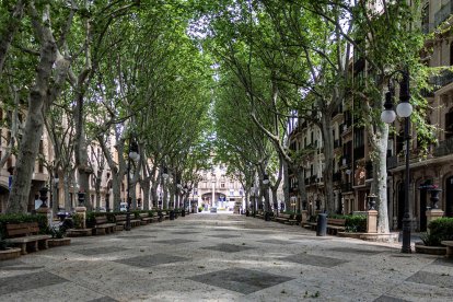 Imagen de un paseo completamente vacío de gente.