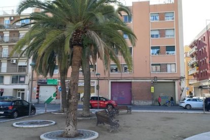 El projecte preveu la plantació de sis palmeres per oferir més ombra als usuaris.