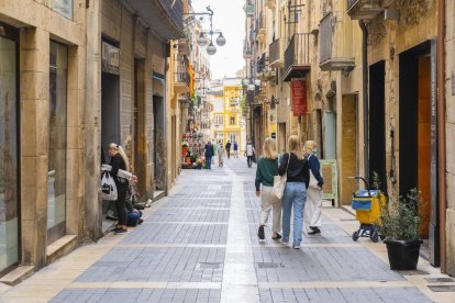 També es bonificarà el 95% de l'ICIO per fer instal·lacions de caràcter mediambiental.