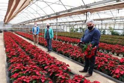 Els professors Lluís Recasens i Josep M. Pemán i el tècnic Blai Sánchez, amb les plantes de Nadal.