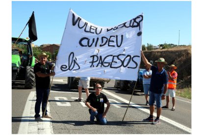 Pla obert de manifestants participant en el tall de carretera de la C-12 a Flix.