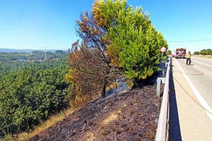 El incendio de cañas