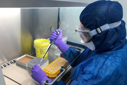 Una treballadora analitzant una mostra de PCR en el laboratori d'Hipra.