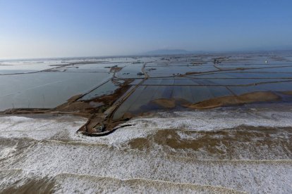 Plano aéreo del mar penetrando en los arrozales en la zona de la Marquesa, en el Delta de l'Ebre.