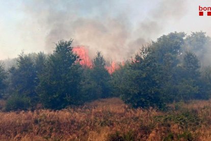 Imatge de les flames de l'incendi.