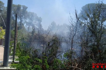 El fuego ha tenido lugar en un descampado de la calle València rodeado de casas.