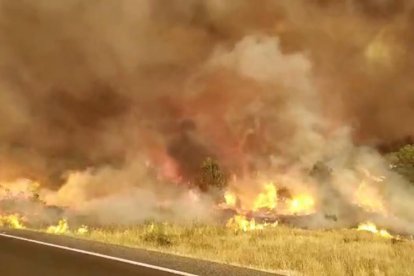 Imatge de les flames de l'incendi de Ribera d'Ebre.