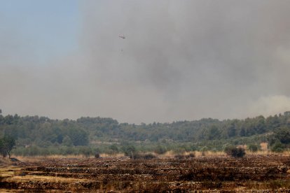 Pla general d'un helicòpter atacant un dels flancs de l'incendi  de la Torre de l'Espanyol. Imatge del 27 de juny de 2019