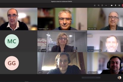 Imatge de la reunió telemàtica de l'equip.