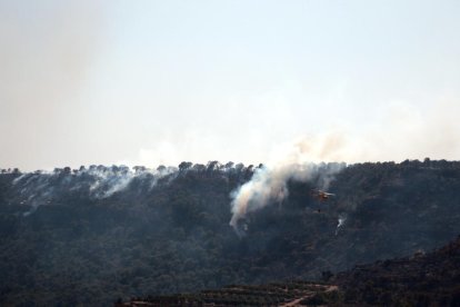 Un hidroavió treballant en la revifada d'un focus de l'incendi, entre els termes municipals de Bovera i Flix, el 28 de juny del 2019