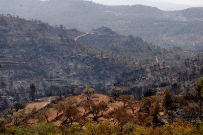 El término de Llardecans afectado por el incendio.