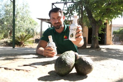 El propietari del molí d'oli Mas Montseny, Roger Català, amb una botella d'oli d'alvocat a la mà i amb tres alvocats davant seu a la seva finca del Morell.