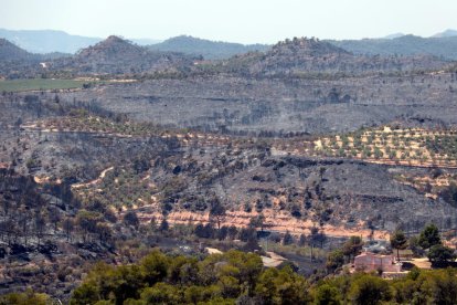 La zona afectada per l'incendi entre els termes de Bovera i Flix.