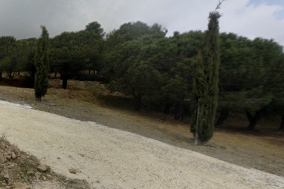 El Camino Viejo de Sant Pere de la Selva del Camp