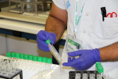 Pla detall d'un sanitari treballant al laboratori clínic de l'Hospital Germans Trias i Pujol de Badalona.