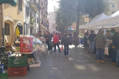 Los paradistas han tomado medidas para evitar el contagio del covid-19