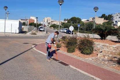 Plano general de un técnico del COPATE haciendo los controles del mosquito tigre en Alcanar.