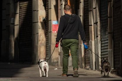 També hauran d'indemnitzar a l'afectat per les lesions que van sofrir tant ell com el ca amb el qual anava passejant