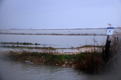 Plano general de campos de arroz afectados por la inundación marítima del temporal Glòria en la zona de la Marquesa, en el delta del Ebro.