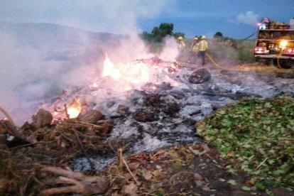 Imatge de l'incendi d'ahir