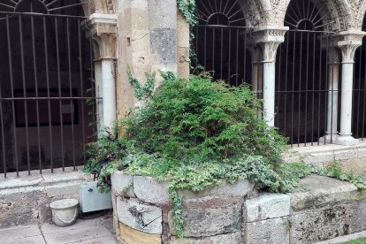 Els gemecs de l'escolanet mort al claustre encara es poden escoltar a la vora del pou.