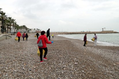 Los voluntarios que han participado en la limpieza de las playas de las Casas de Alcanar después del temporal.