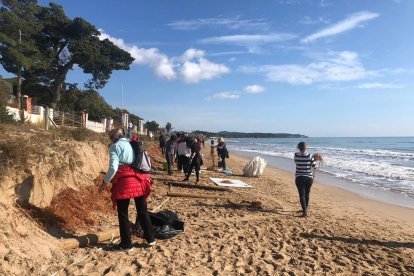 Alguns dels voluntaris que han treballat en la neteja de la platja.