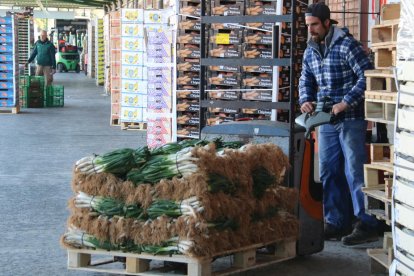 Imatge d'un treballador de Mercabarna transportant calçots el 19 de febrer de 2020.