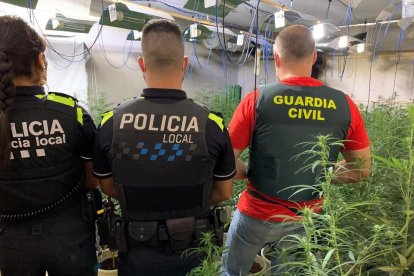 El dispositivo conjunto entre Policía Local y Guardia Civil se hizo el miércoles.