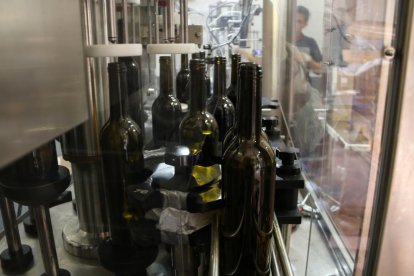 Unas botellas de vino en una maquina en la Bodega Mas Vicenç.