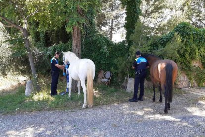 Dos agentes con los caballos.